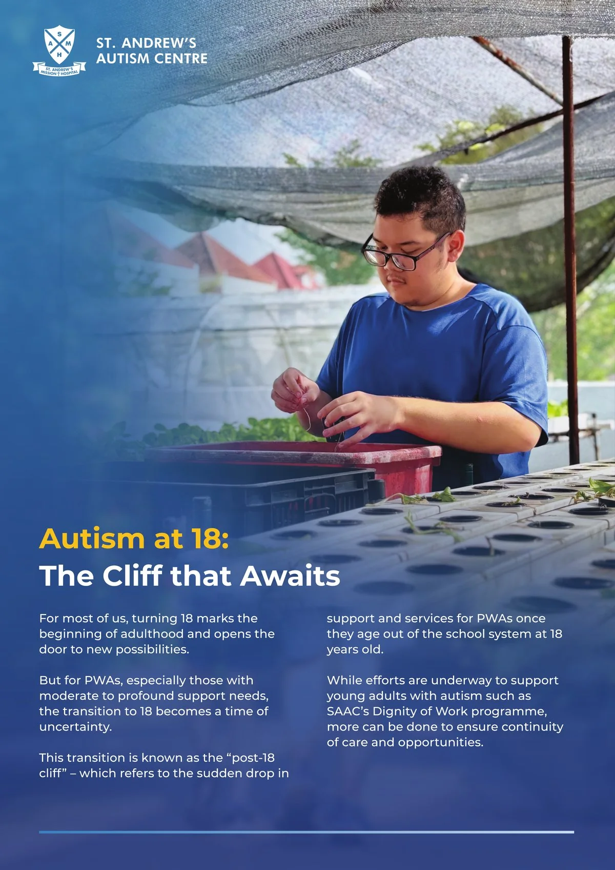 Autism at 18 — The Cliff that Awaits